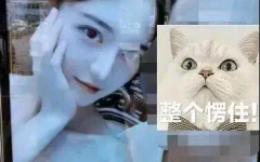 吃瓜ceo 网红女友,吃瓜CEO与网红女友的甜蜜日常
