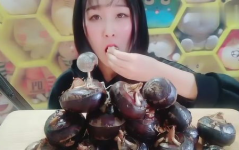 柿饼小姐姐,甜蜜诱惑，传统美食的魅力之旅