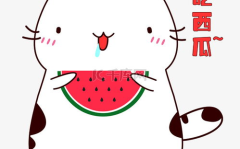网红吃瓜表情图片大全大图,趣味横生的表情包盛宴