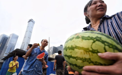 朝阳民众吃瓜网最新消息,吃瓜网最新爆料，揭秘娱乐圈惊人内幕！
