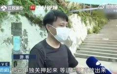 网红男朋友吃瓜爆料,娱乐圈背后的惊人真相